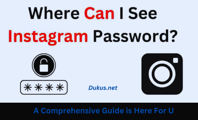 See Instagram Password