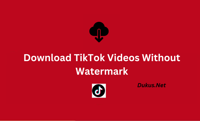 Download TikTok Videos Without Watermark