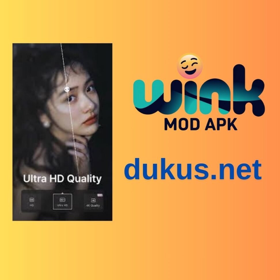 What is Wink Mod Apk