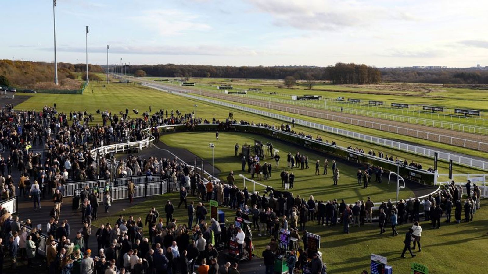 Today on Sky Sports Racing: All-weather action from Newcastle follows Lingfield’s jumps card | Racing News